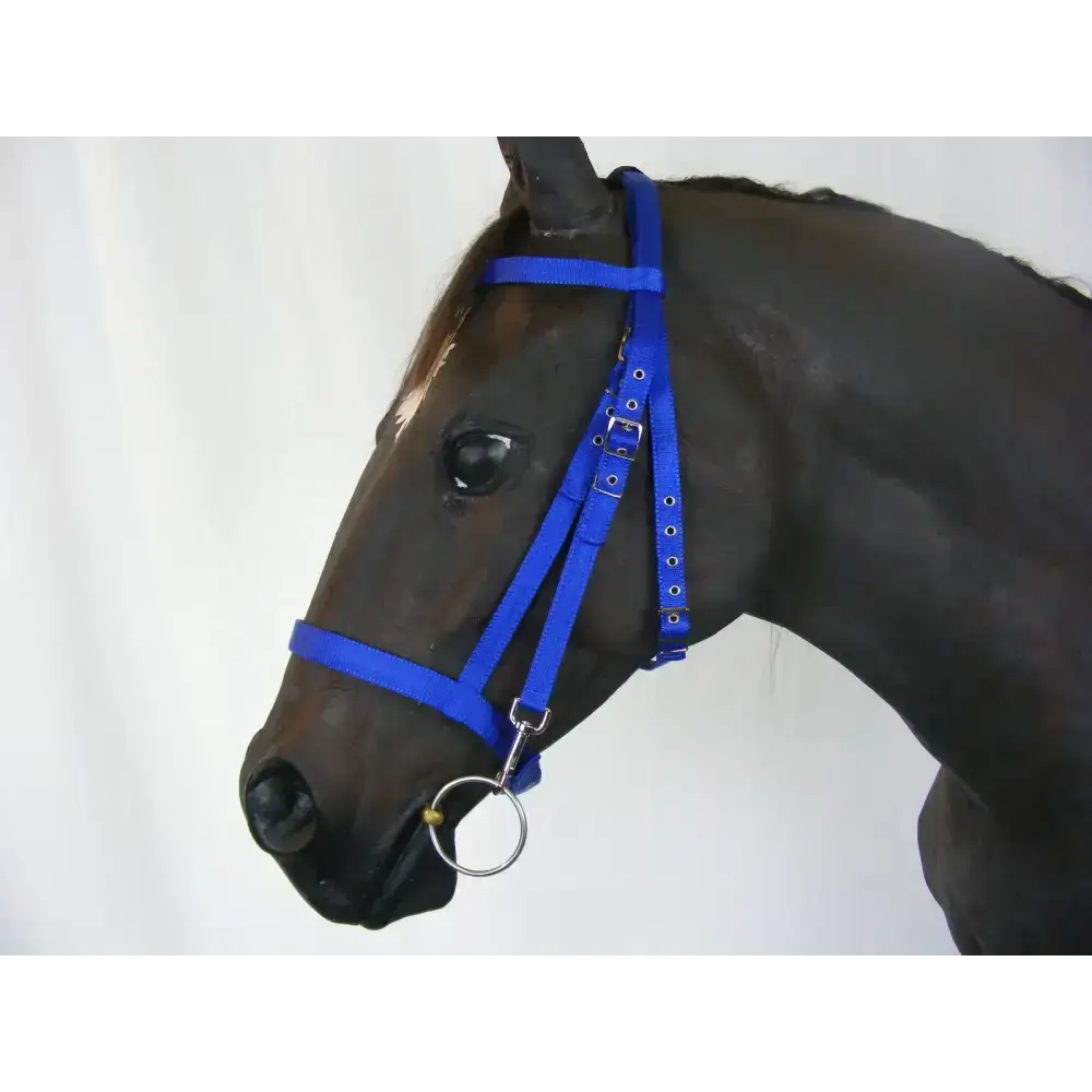 Schooling Bridle Blue Pony Standard 