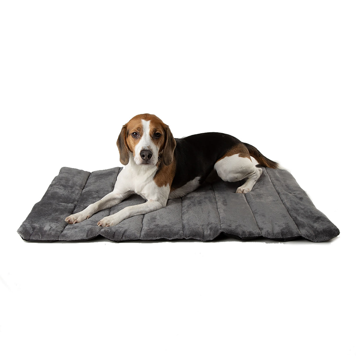 Scruffs Expedition Roll Up Travel Bed 100 x 70 Khaki Green Pet Beds & Blankets
