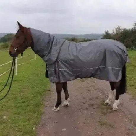 Sheldon Aventus 1680 Ripstop Horse Rugs Detachable Neck 200g Medium 5'9" Turnout Rugs