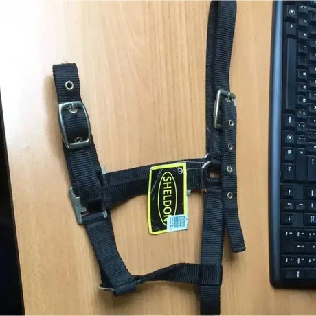 Black nylon sheldon economy headcollar with silver buckles and yellow sheldon label economy headcollar black pony