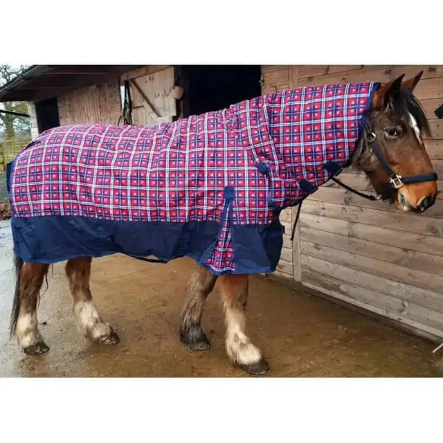 Sheldon Horse Rugs Combo 250g Medium / Heavy Weight Red / Blue Squares Turnout Rugs 5'6" Turnout Rugs Barnstaple Equestrian Supplies