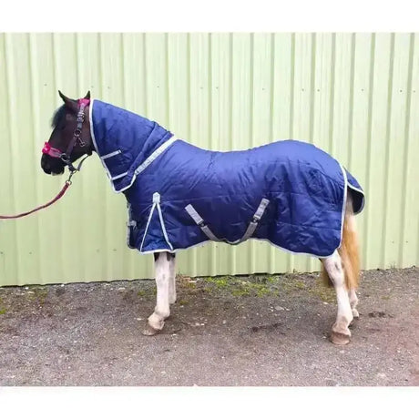 Blue quilted sheldon lightweight 100g stable rug combo with gray trim and adjustable straps featuring 100g polyfill