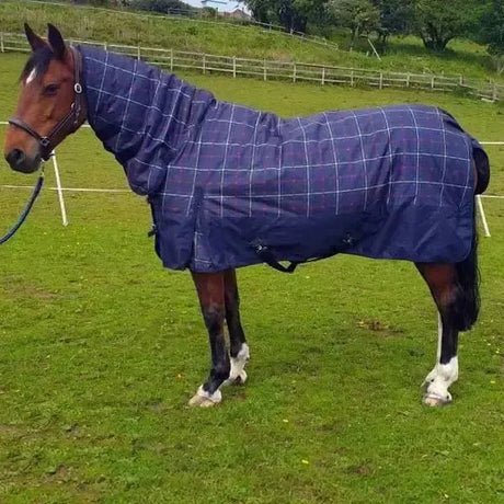 Sheldon Turnout Rugs Combo 250g Medium / Heavy Weight Tartan Design Turnout Rugs 5'3" Turnout Rugs