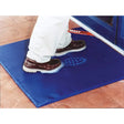 Blue rectangular sweetman disinfection mat with anti-slip footstep design and shoof sweetman disinfection branding