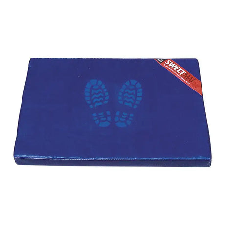 Blue rectangular shoof sweetman disinfection mini mat with textured surface and light blue shoe print decals from stableline deodoriser