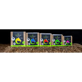 Five colorful shoof tubbease hoof socks with horse head design displayed on straw for hoof problems care
