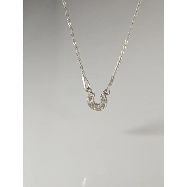Silver steed crystal horseshoe necklace with delicate silver pendant adorned with sparkling clear stones perfect equestrian jewelry