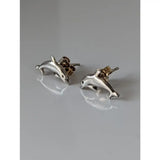 Silver steed dolphin stud earrings with polished metallic finish and detailed sculpting in silver dolphin shape