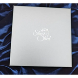 Silver Steed Gift Boxes Large Square Box (16 x 16 x 4 cm) Gift box