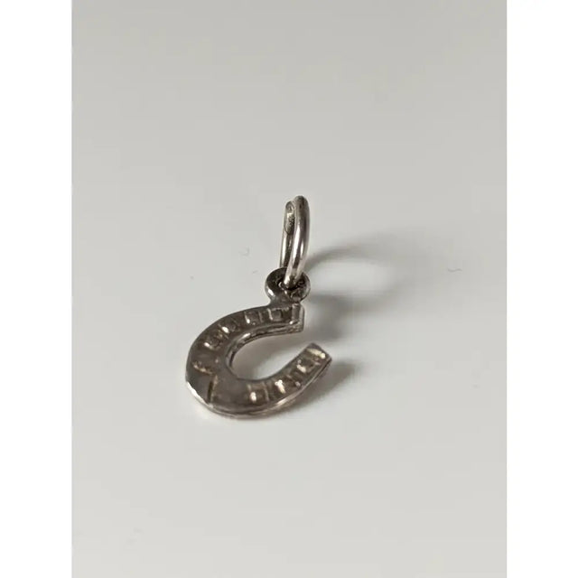 Silver steed pendant featuring a polished silver horseshoe pendant with detailed ridges and a sleek metallic finish