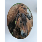 Silver Steed Jewellery Oval Boxes Bay Mare and Foal Miscellaneous