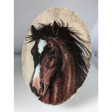 Silver Steed Jewellery Oval Boxes Black Long Maned Horse Head Miscellaneous