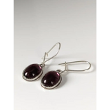 Silver Steed Purple Crystal Dropped Earrings Earrings