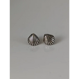 Silver Steed Shell Stud Earrings Earrings