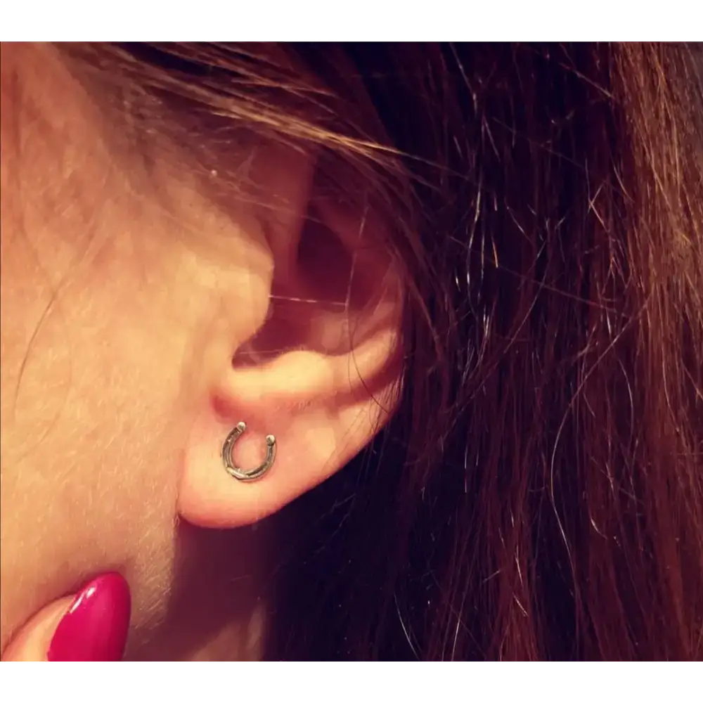 Silver Steed Small Horseshoe Stud Earrings 1 Earrings