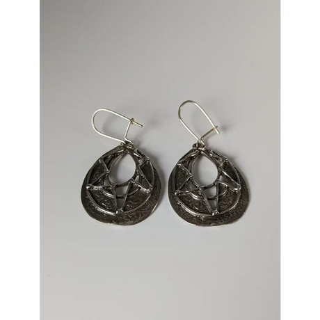 Silver Steed Sunlight Dropped Earrings Earrings
