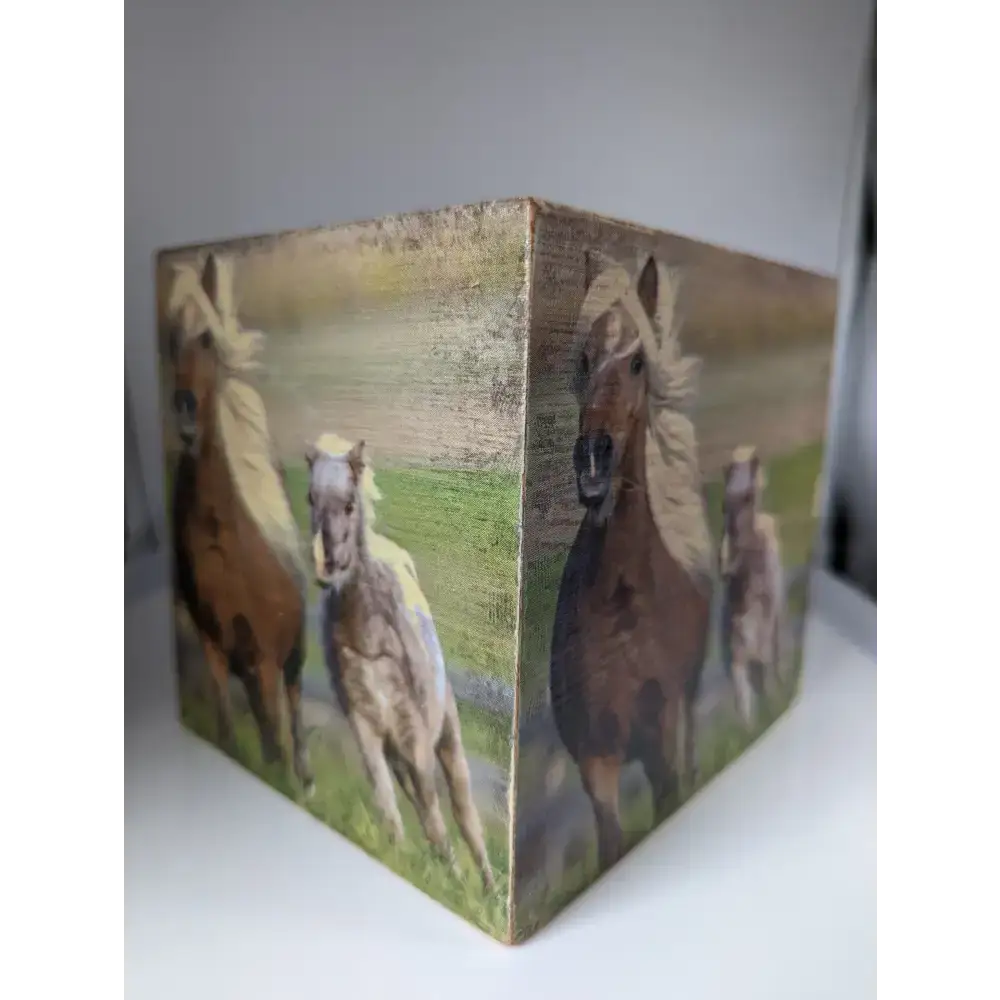 Silver Steed Tissue Boxes Mare and foal 2 Miscellaneous
