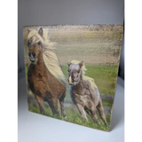 Silver Steed Tissue Boxes Hunting Miscellaneous