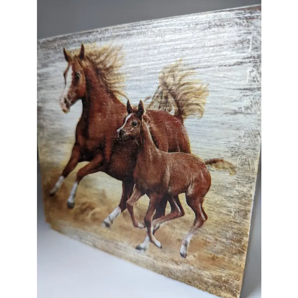 Silver Steed Tissue Boxes Hunting Miscellaneous