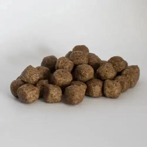 Skinners Field & Trial Salmon/Rice 2.5 Kg Dog Food