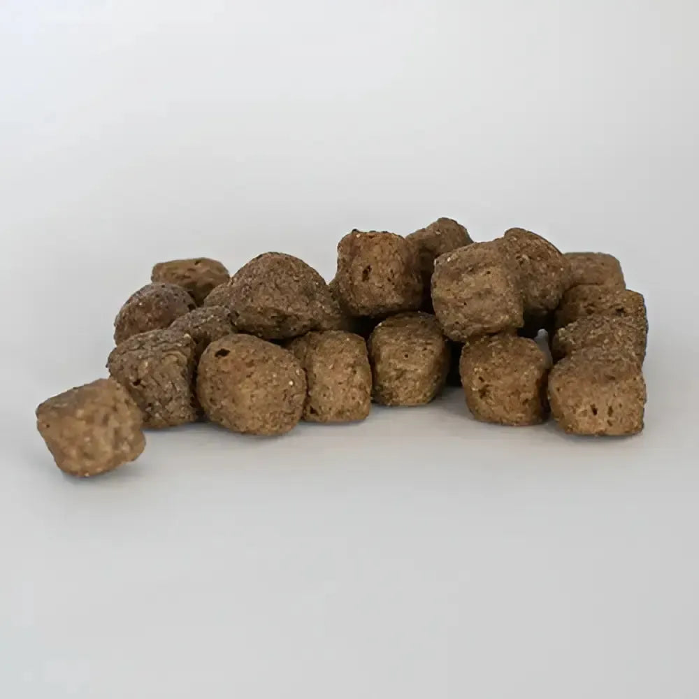 Skinners Field & Trial Turkey / Rice (inc joint aid) 2.5 Kg Dog Food