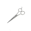 Silver-toned smart grooming 5 inch pointed scissors with polished metal finish and ergonomic loops for accurate trimming
