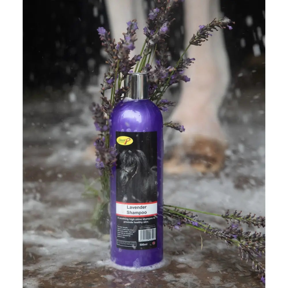 Purple bottle of smart grooming lavender conditioning horse shampoo with silver cap and black label showing horse image