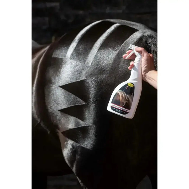 Hand holding white smart grooming quarter marking spray 500ml with black and yellow logo against horse dark coat