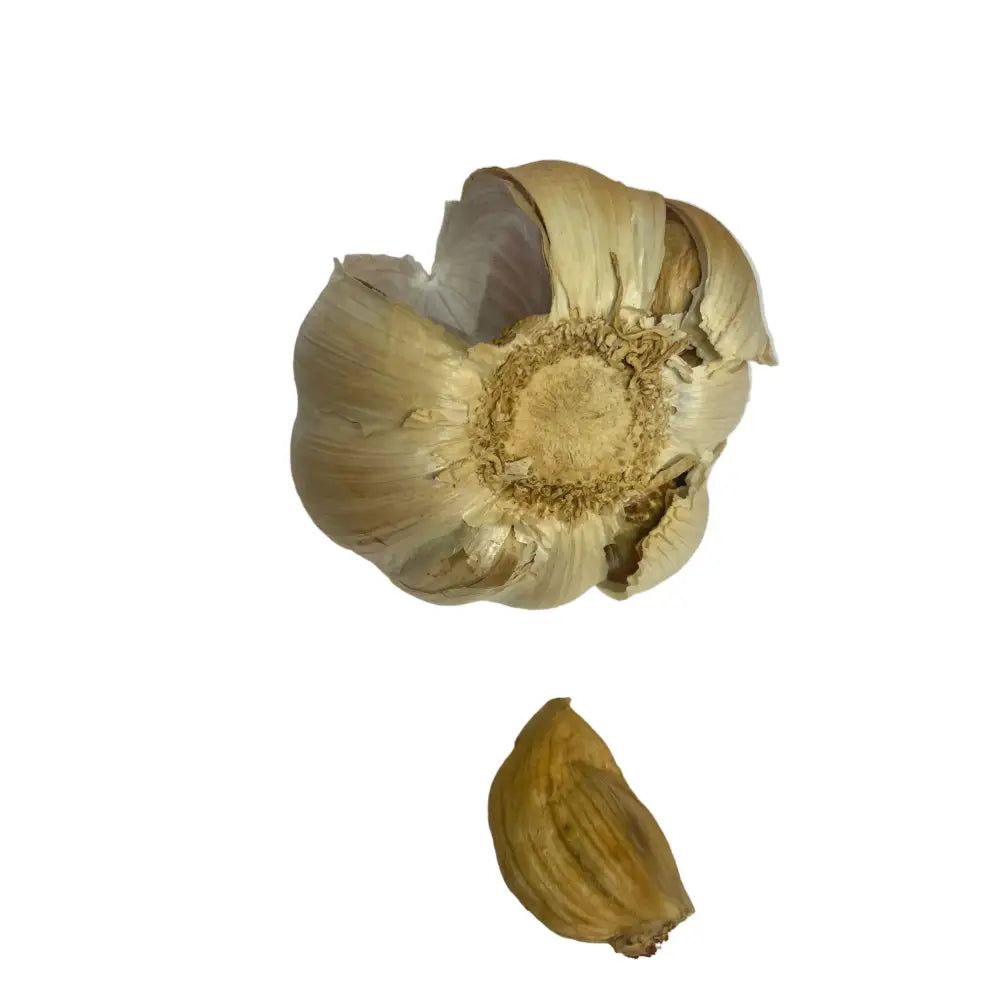 A whole smokey sam’s smoked garlic bulb with light beige papery skin and a single separated clove below it