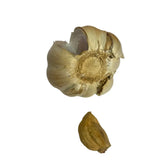 A whole smokey sam’s smoked garlic bulb with light beige papery skin and a single separated clove below it