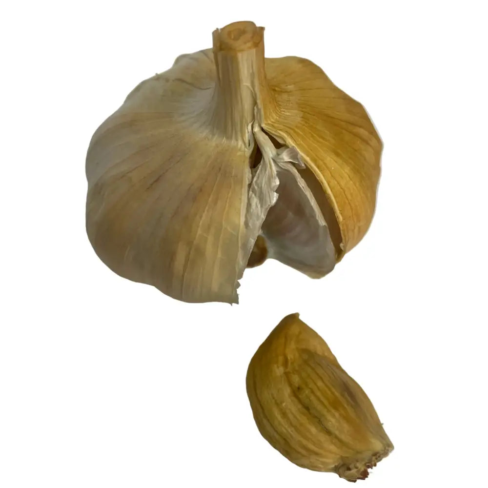 A whole smoked garlic bulb with light brown skin and a single clove from smokey sams perfect for smoked paprika dishes