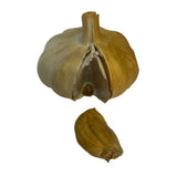 A whole smoked garlic bulb with light brown papery skin and a separated clove from smokey sams featuring smoked paprika