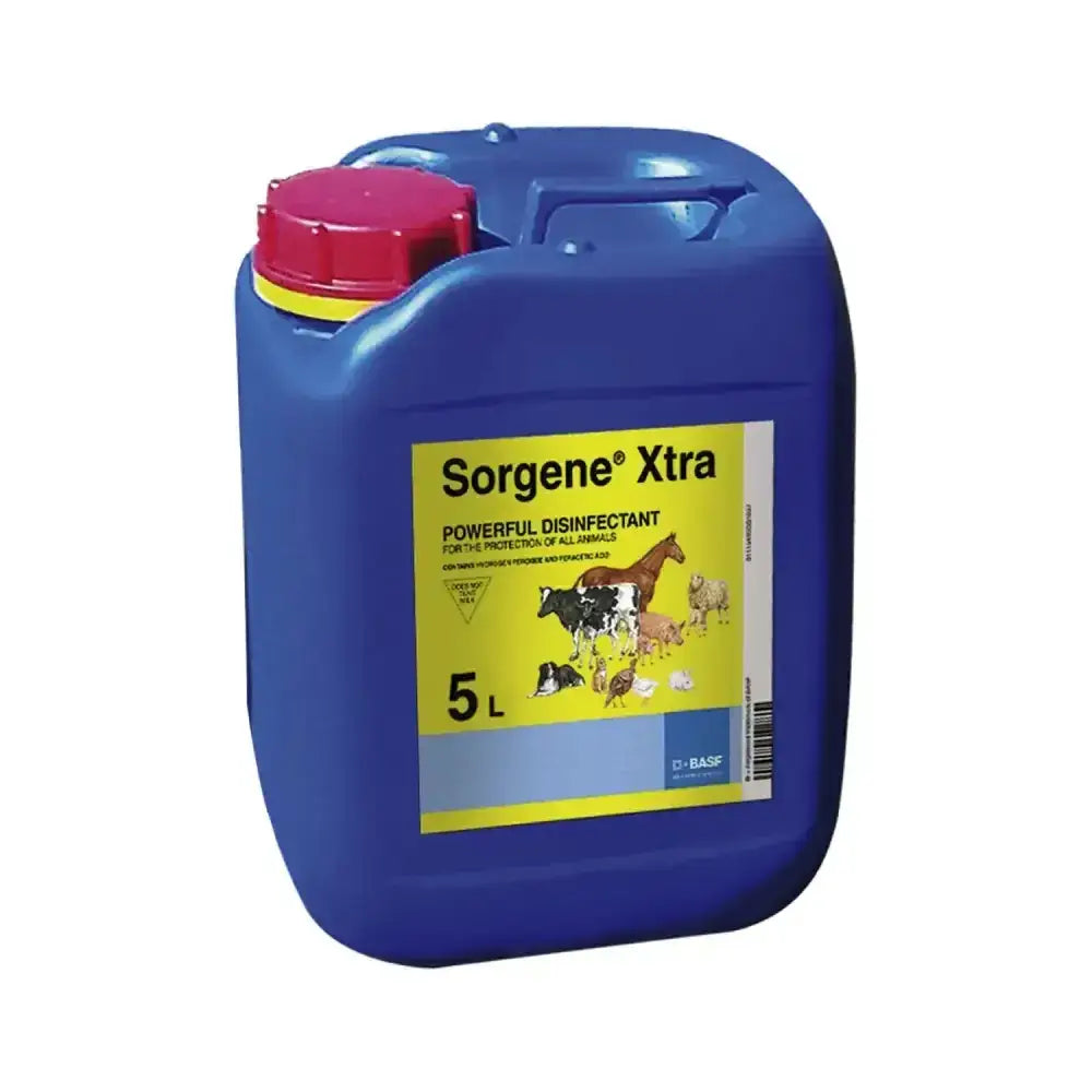 Blue plastic jerrycan with red lid and yellow band labeled sorgene xtra 5l powerful disinfectant for horses equestrian use