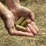 Cupped hands holding brown cylindrical spillers spearmint horse treats made from delicious natural spearmint pellets