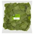 Spinach vegetables