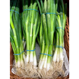 Spring Onions vegetables
