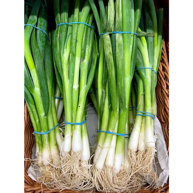Spring Onions vegetables
