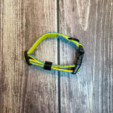 Bright yellow and teal woven days collar pink with black buckle and adjustable strap for dogs