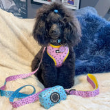 Pink and yellow donut patterned dog harness with matching leash and blue poop bag dispenser featuring colorful sprinkles days collar pink