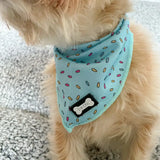 Light blue cooling bandana with colorful sprinkles and black bone patch pup chic from sprinkles for days cooling bandana