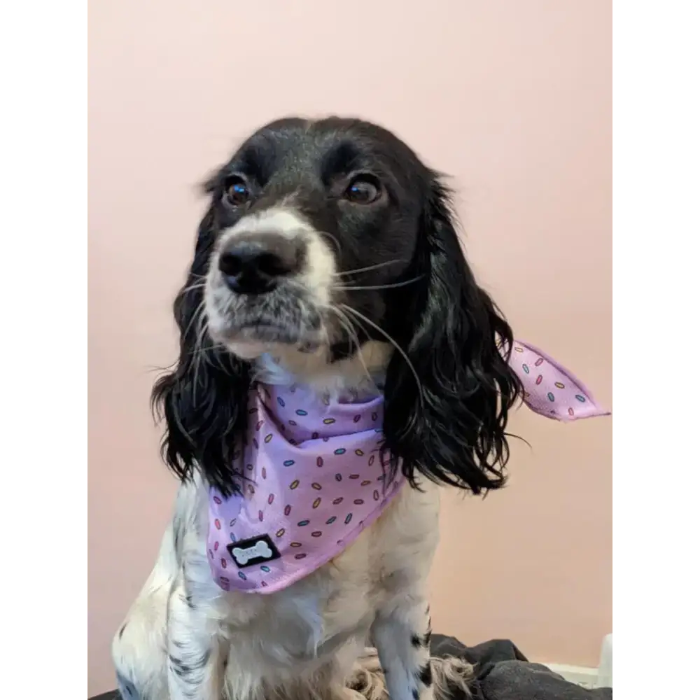 Sprinkles For Days Cooling Bandana - Pink S Pet Products