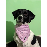 Sprinkles For Days Cooling Bandana - Pink S Pet Products