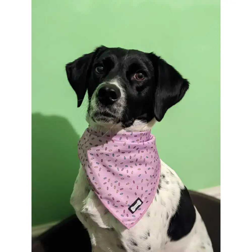 Pink sprinkles for days cooling bandana with black gray ovals worn by dog made from cooling fabric for days cooling comfort
