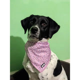 Pink sprinkles for days cooling bandana with black gray ovals worn by dog made from cooling fabric for days cooling comfort