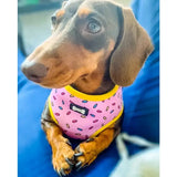 Pink donut patterned reversible dog harness with sprinkle print yellow trim and small black brand tag visible