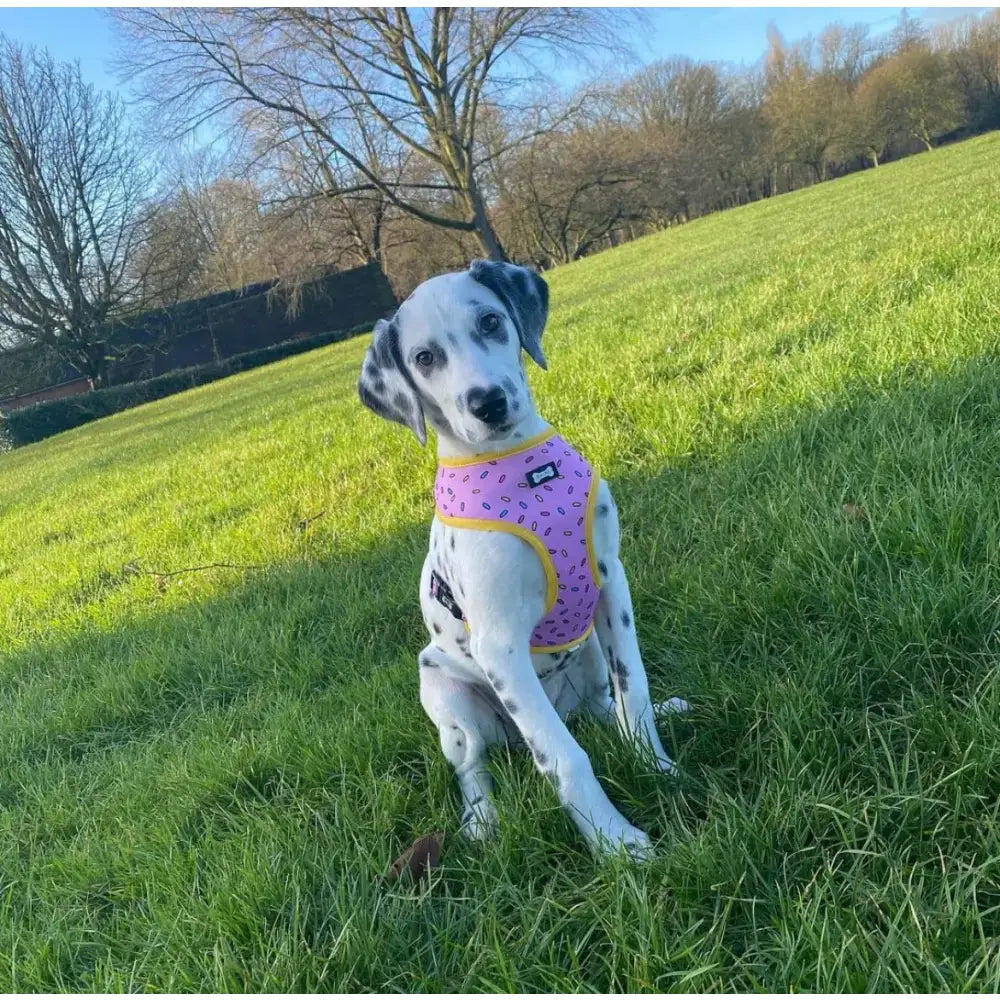 Pink harness with yellow trim and black polka dot sprinkle print for days reversible dog harness size guide