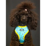 Turquoise reversible dog harness with yellow trim and sprinkle print featuring a black bone logo front side