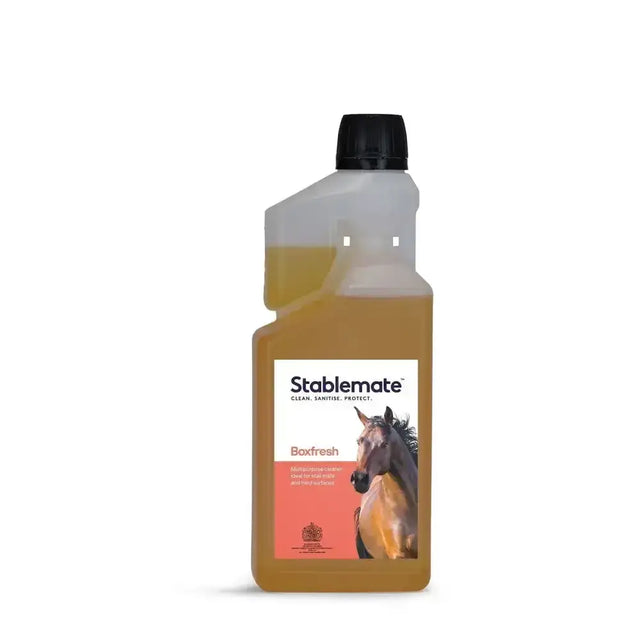 Stablemate boxfresh pine-based multipurpose detergent spray in a translucent bottle with amber liquid and fresh pine aroma
