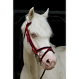 Standard Bridle - Cavesson Noseband Navy/Red Mini 