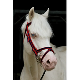 Standard Bridle - Cavesson Noseband Navy/Red Mini 